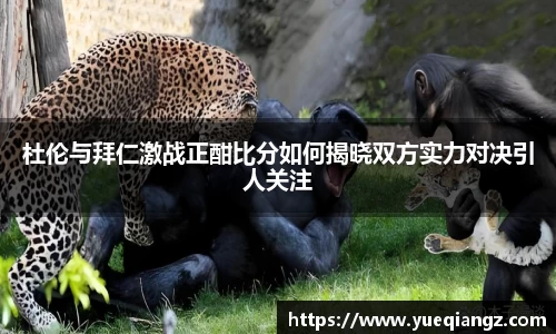乐竞体育官网